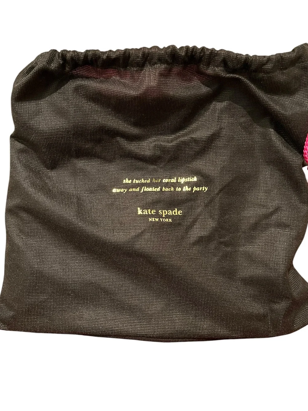 RARE Kate Spade New York Meow Cat Large Zip Pouch & Dusty NWT - Picture 9 of 9